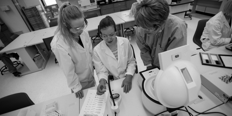 Medical Laboratory Science students work with program director Karyn Fay in the lab.