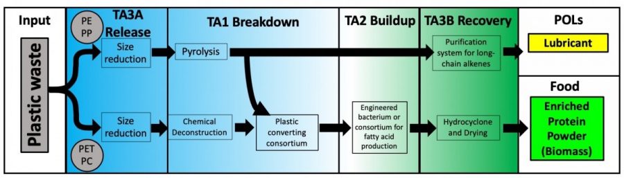 The process of taking plastic waste and converting it into protein powder and lubricant