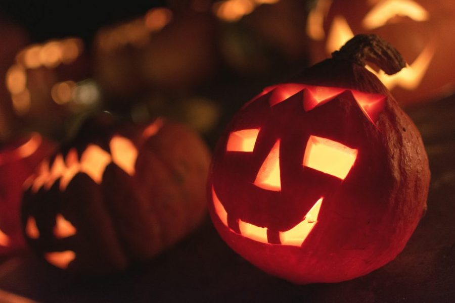 Halloween boasts so many fun traditions, such as carving pumpkins! 