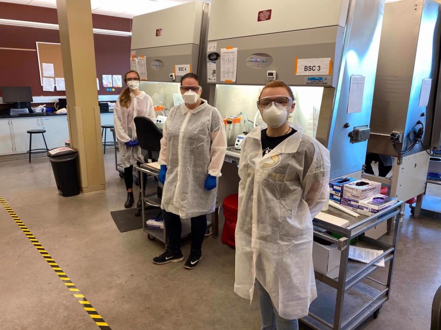 Medical Laboratory Science students and SMLS members (from left to right) Jenna Disser, Jessica McQuinn and Kacie Ziolkowski are seen here working in Michigan Tech’s on-campus COVID-19 lab. 
