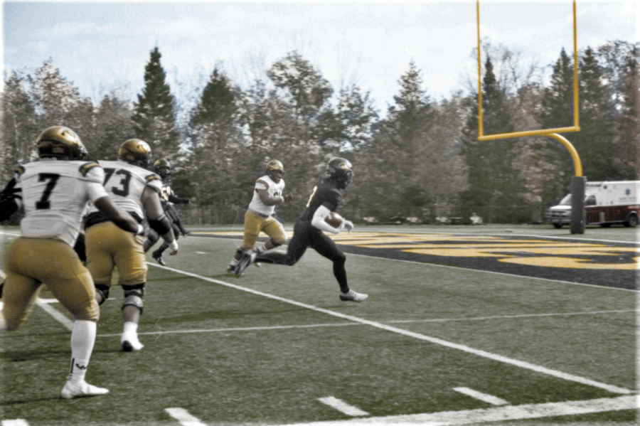 MTU vs. Wayne State, Oct. 8. Photograph and colorization by Tim Peters.