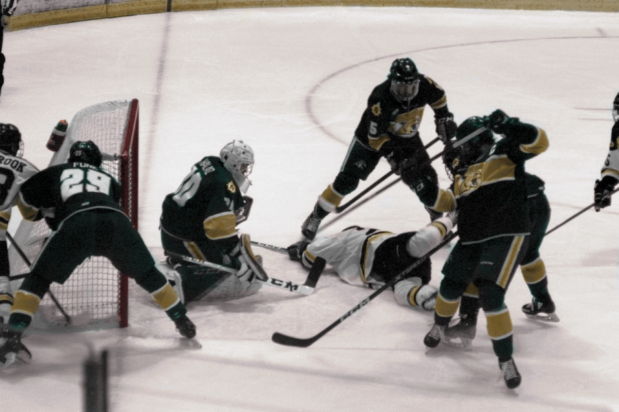Michigan Technological University vs. Northern Michigan University, Friday Jan. 27

Photo taken and colorized by Tim Peters